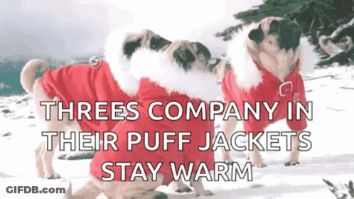 Three Pugs In Red Puff Jackets In Snow GIF