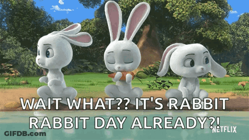 Three Rabbits Sitting With Wait What GIF