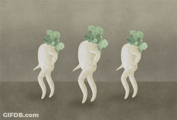Three Radish Unison Happy Dance Meme GIF