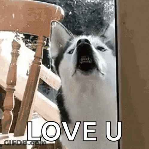 Three Red Hearts Saying I Love You GIF
