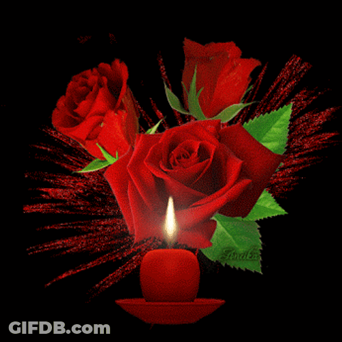 Three Red Rosas GIF