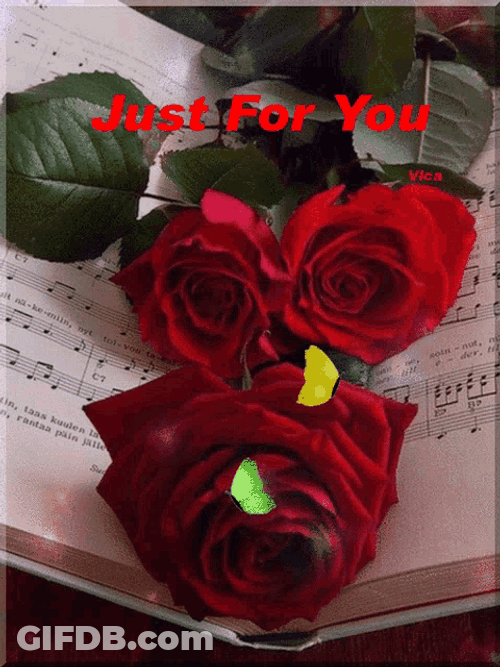 Three Red Roses Just For You GIF