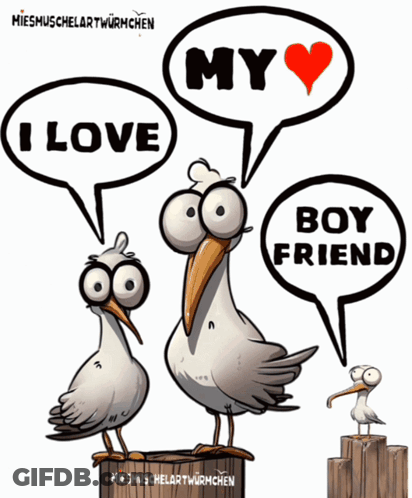 Three Seagulls Saying I Love My Boyfriend GIF
