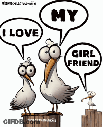 Three Seagulls Saying I Love My Girlfriend GIF