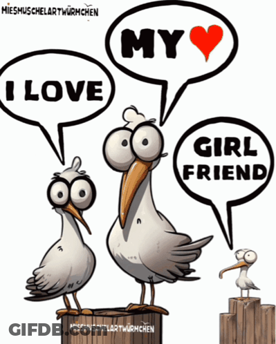 Three Seagulls Saying I Love My Girlfriend GIF