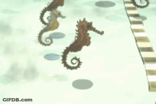 Three Seahorses Are Standing Next To Each Other GIF
