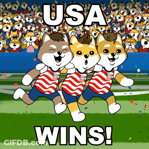 Three Shiba Inu Dogs Running With USA Wins Caption GIF