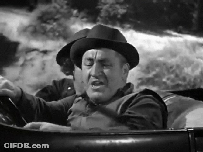 Three Stooges Car Bear Driving GIF