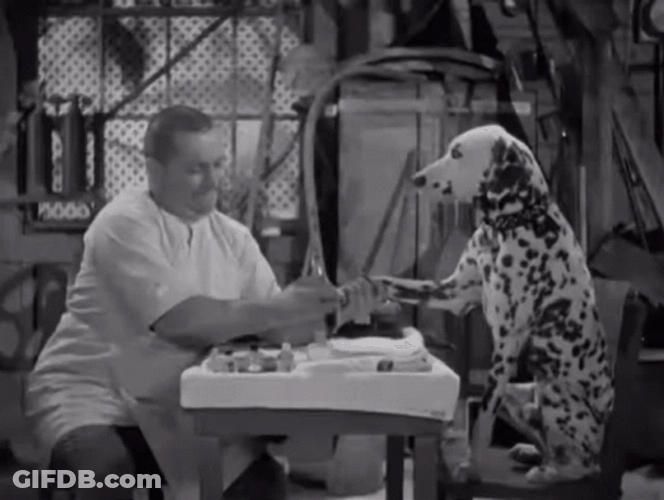 Three Stooges Curly Dalmatian Dog GIF