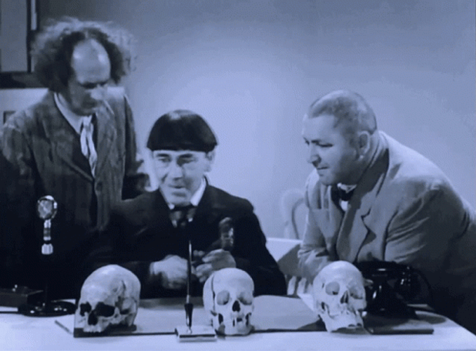 Three Stooges Hitting Skull Head GIF