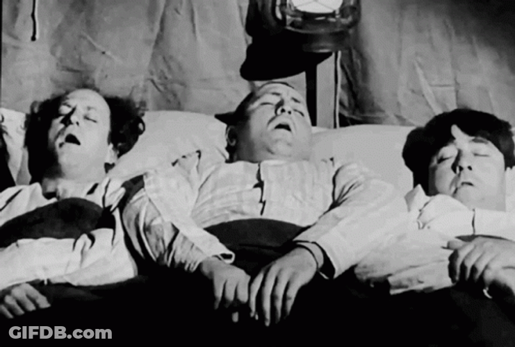 Three Stooges Snoring Sleep GIF