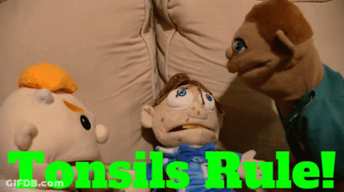 Three Stuffed Animals Are Sitting On A Couch With The Words Tonsils Rule GIF