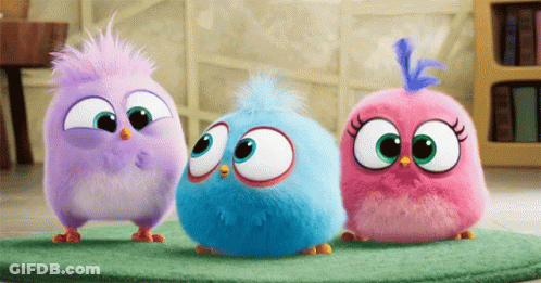 Three Stuffed Birds Are Standing Next To Each Other GIF