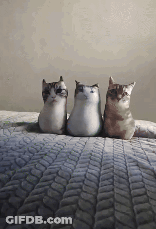 Three Stuffed Cats Are Sitting On A Bed With A White Blanket GIF