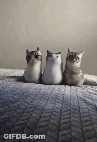 Three Stuffed Cats Sitting On A Bed GIF