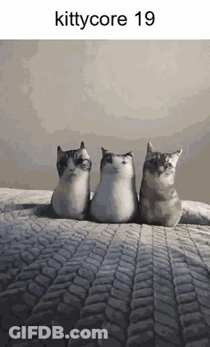 Three Stuffed Cats Sitting On Bed Kittycore 19 GIF