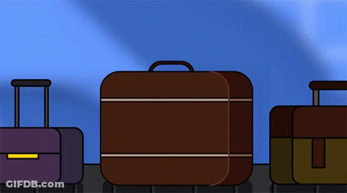 Three Suitcases Lined Up With Tommy Hilfiger Tag GIF