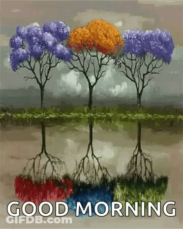 Three Trees With Roots In Water Saying Good Morning GIF