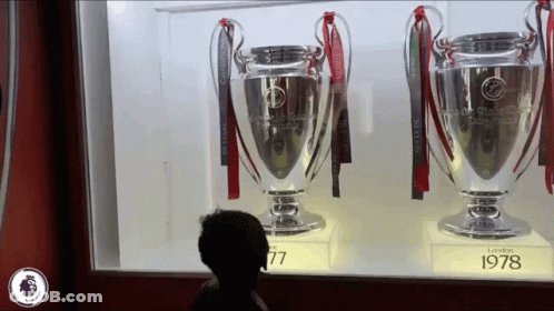 Three Trophies In Glass Case 1978 GIF