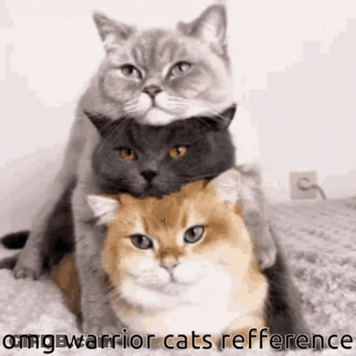 Three Warrior Cats Reference GIF