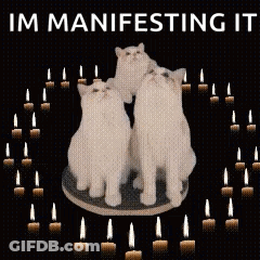 Three White Cats Surrounded By Candles Manifesting It GIF