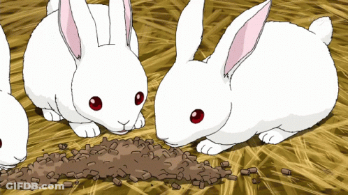 Three White Rabbits With Red Eyes Are Eating Pellets From The Ground GIF