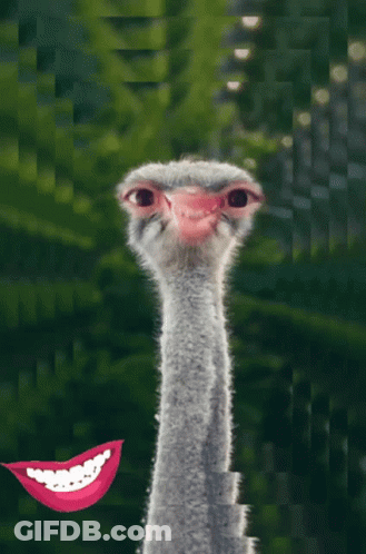 Three Women In Car Saying Get In Loser We Re Going Shopping GIF