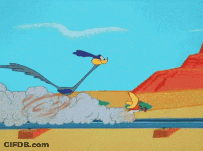 Thrilling Roadrunner Chasing Speedy Gonzales GIF