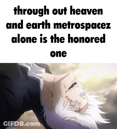 Through Out Heaven And Earth Metrospacez Alone Is Honored One GIF