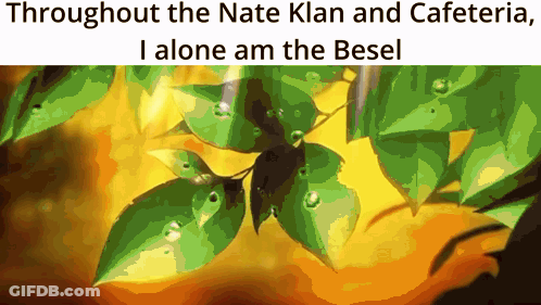 Through The Nate Klan And Cafeteria I Alone Am The Besl GIF