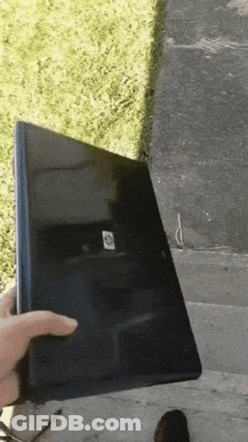 Throw Computer On Road On Sunny Day GIF