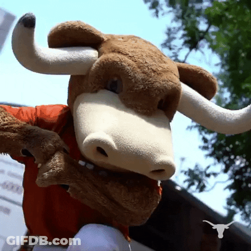 Throw It Out Texas Longhorns GIF