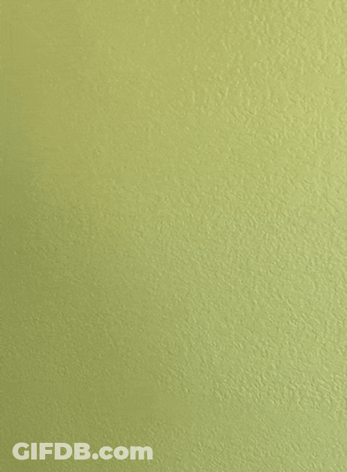 Throw Something On Green Wall GIF