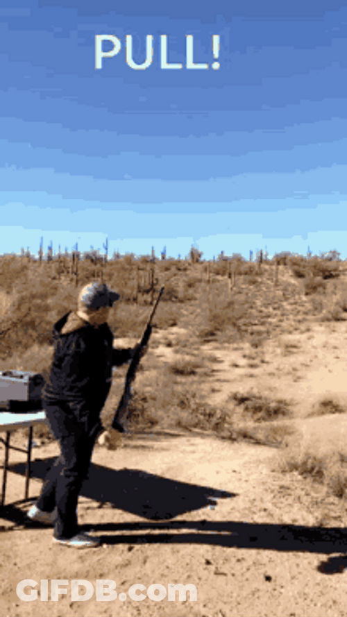 Throwing Balls Air Shooting Target GIF