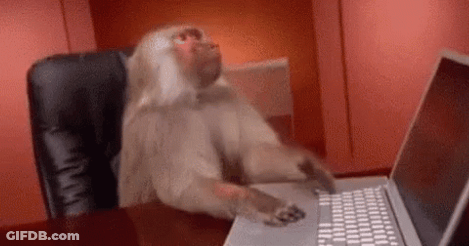 Throwing Computer By Monkey Disappointed GIF