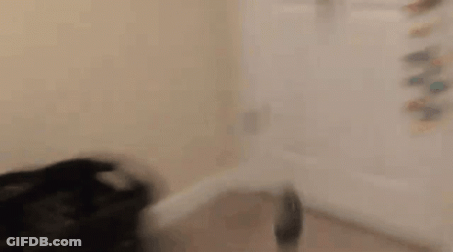 Throwing Computer Mouse GIF