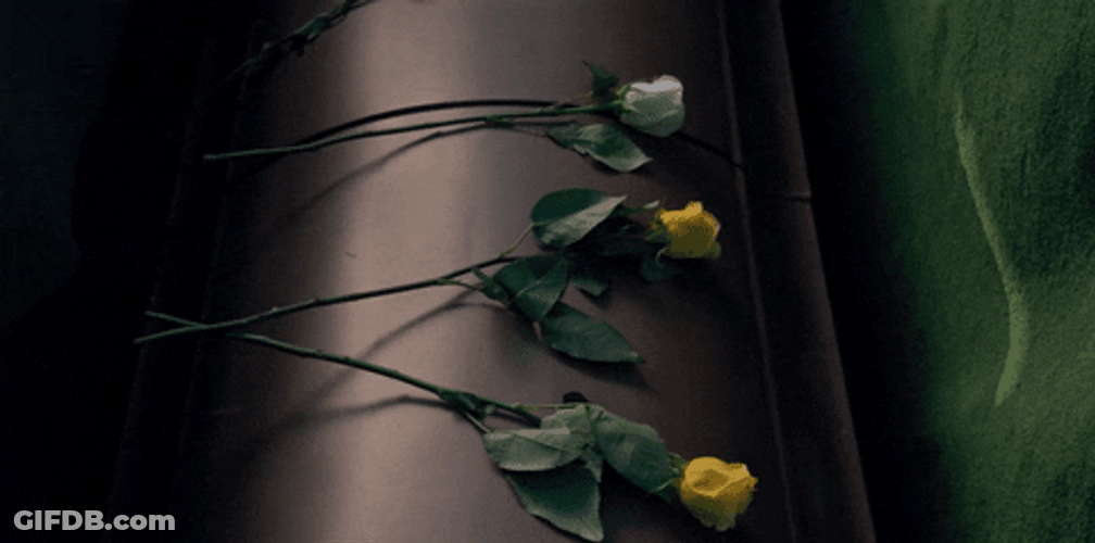 Throwing Flower Funeral Stranger Things Scene GIF