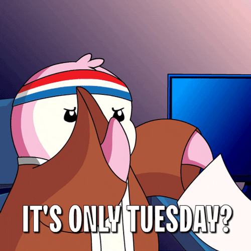 Throwing Papers Penguin It's Only Tuesday GIF