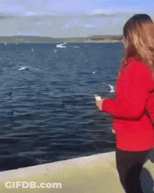 Throwing Phone By Mistake GIF