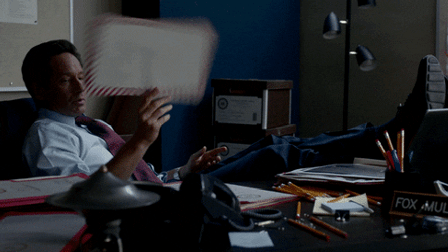 Throwing The Paper David Duchnovny GIF