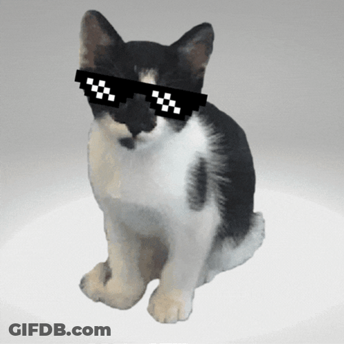 Thug Black And White Cat GIF