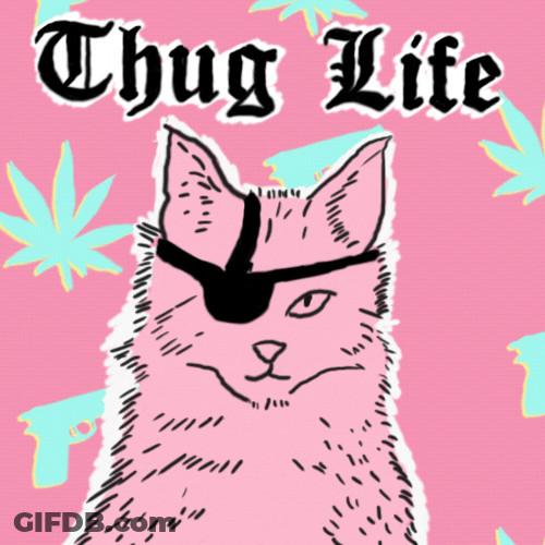 Thug Life Pink Cat GIF