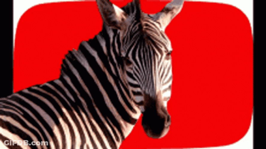 Thug Life Zebra GIF