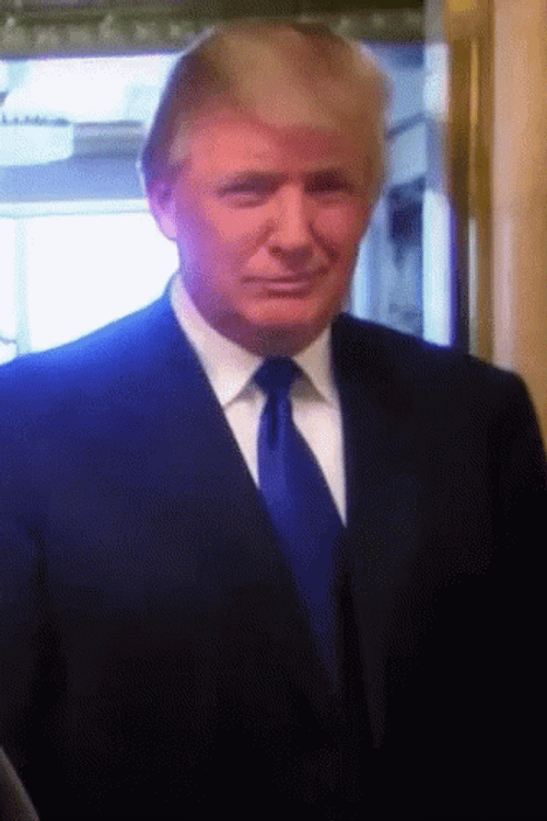 Thumb Up Donald Trump GIF