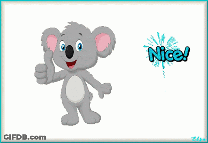 Thumb Up Nice Koala GIF