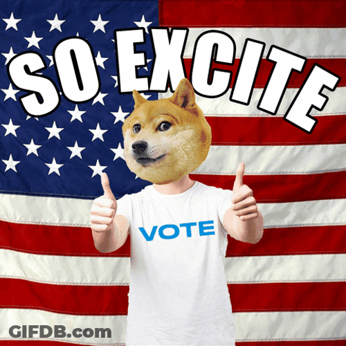 Thumbs Up Excited Doge Meme GIF