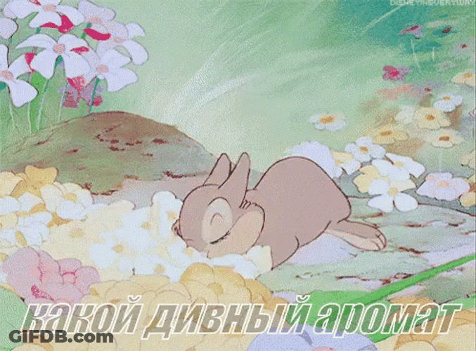Thumper GIF