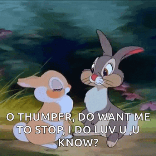 Thumper Do You Want Me To Stop GIF