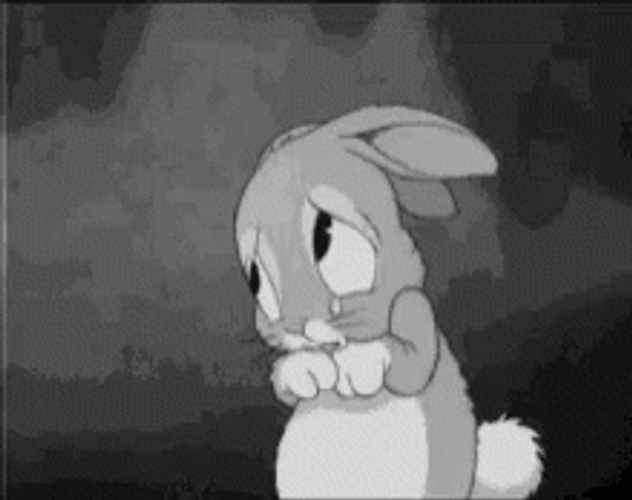 Thumper Sad Crying GIF