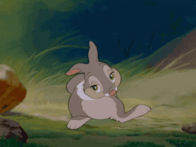 Thumper Shy Rolling Feet GIF